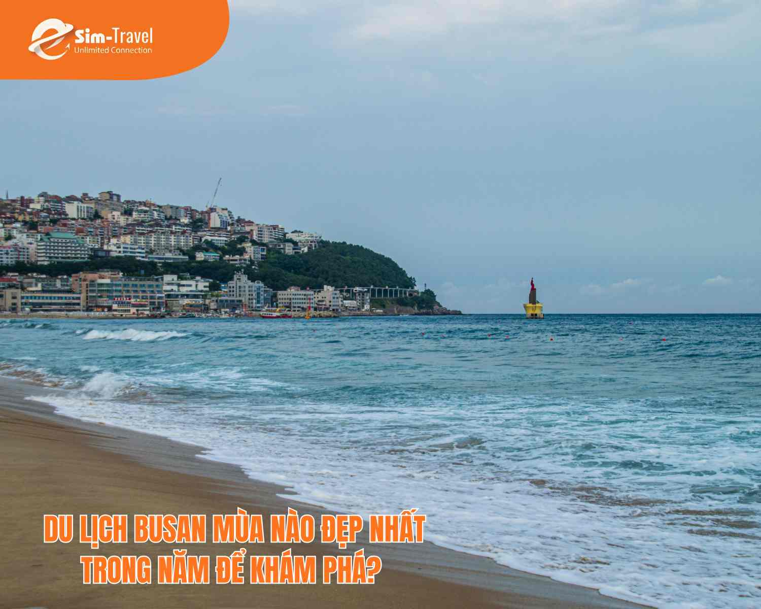 Du lịch Busan mùa nào đẹp nhất trong năm để khám phá?