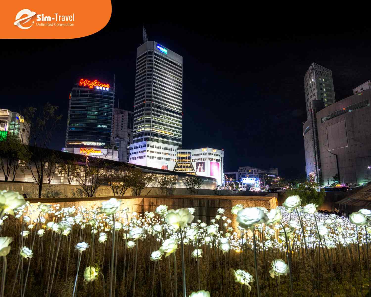 Khu mua sắm Dongdaemun luôn tấp nập du khách và người dân địa phương về đêm.