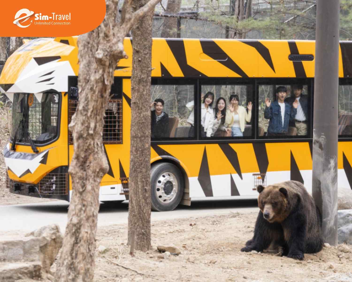 Safari World mang đến cơ hội kh&aacute;m ph&aacute; thế giới động vật đầy th&uacute; vị.&nbsp;