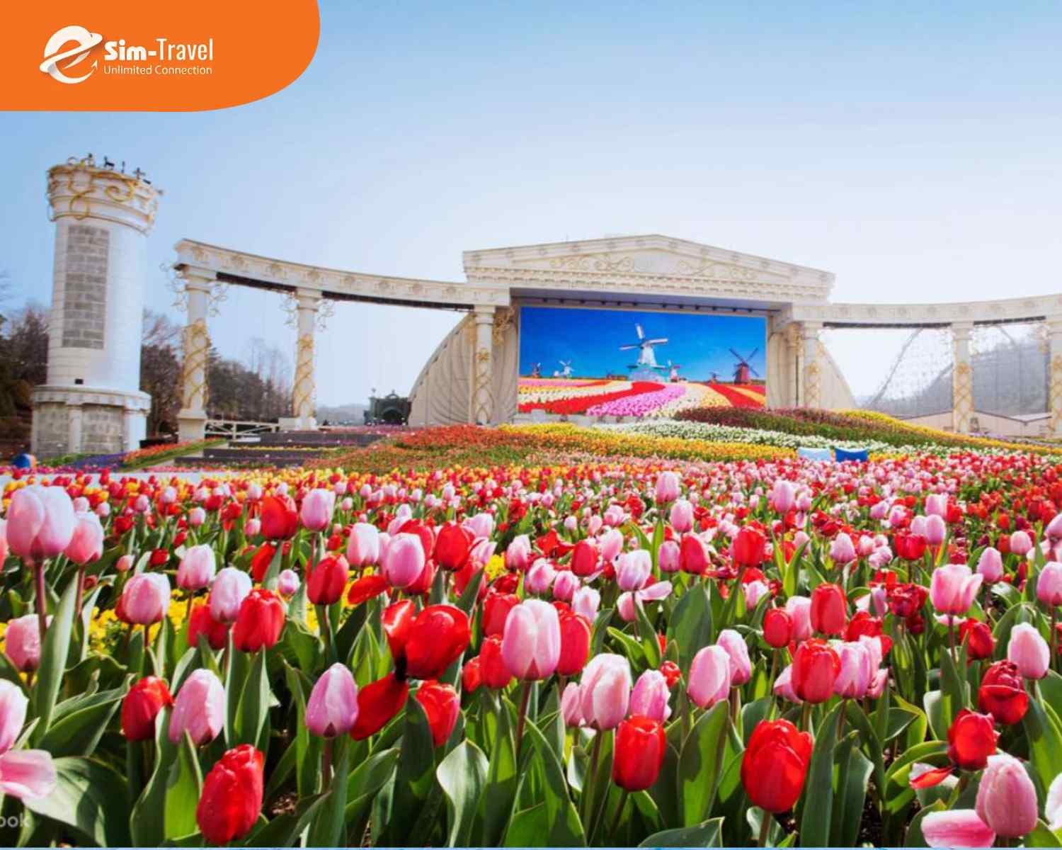 M&ugrave;a xu&acirc;n l&agrave; thời điểm Everland rực rỡ với những vườn hoa đầy m&agrave;u sắc.&nbsp;