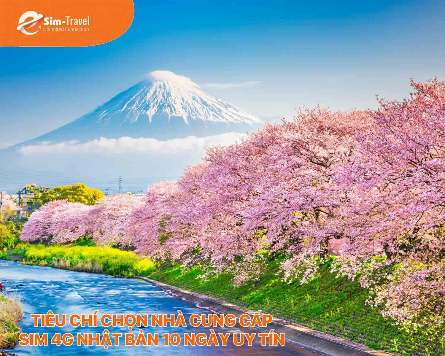 Tiêu chí chọn nhà cung cấp SIM 4G Nhật Bản 10 ngày uy tín