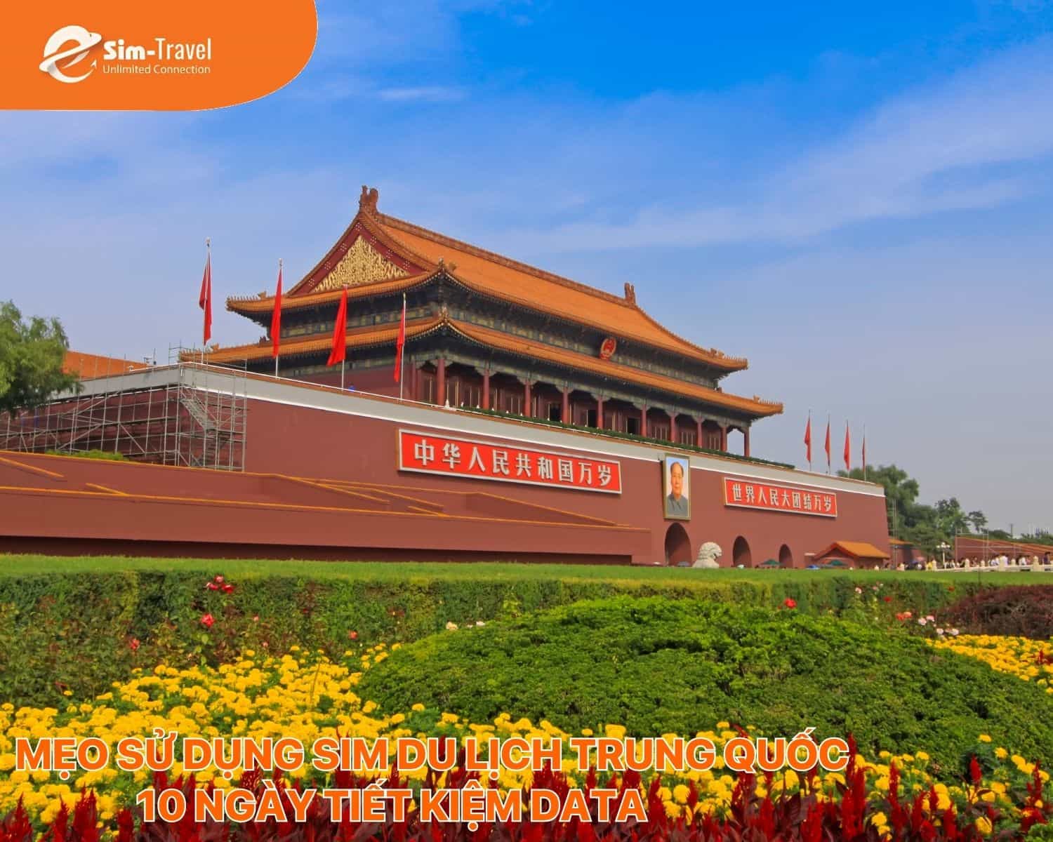 Mẹo sử dụng sim du lịch Trung Quốc 10 ngày tiết kiệm data