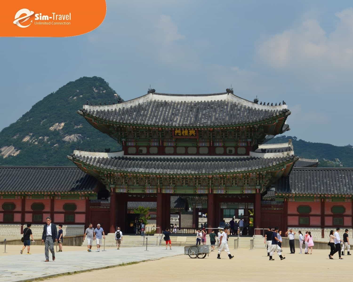 Kh&aacute;ch du lịch tự t&uacute;c n&ecirc;n ưu ti&ecirc;n Sim data để tiết kiệm 40% chi ph&iacute;.