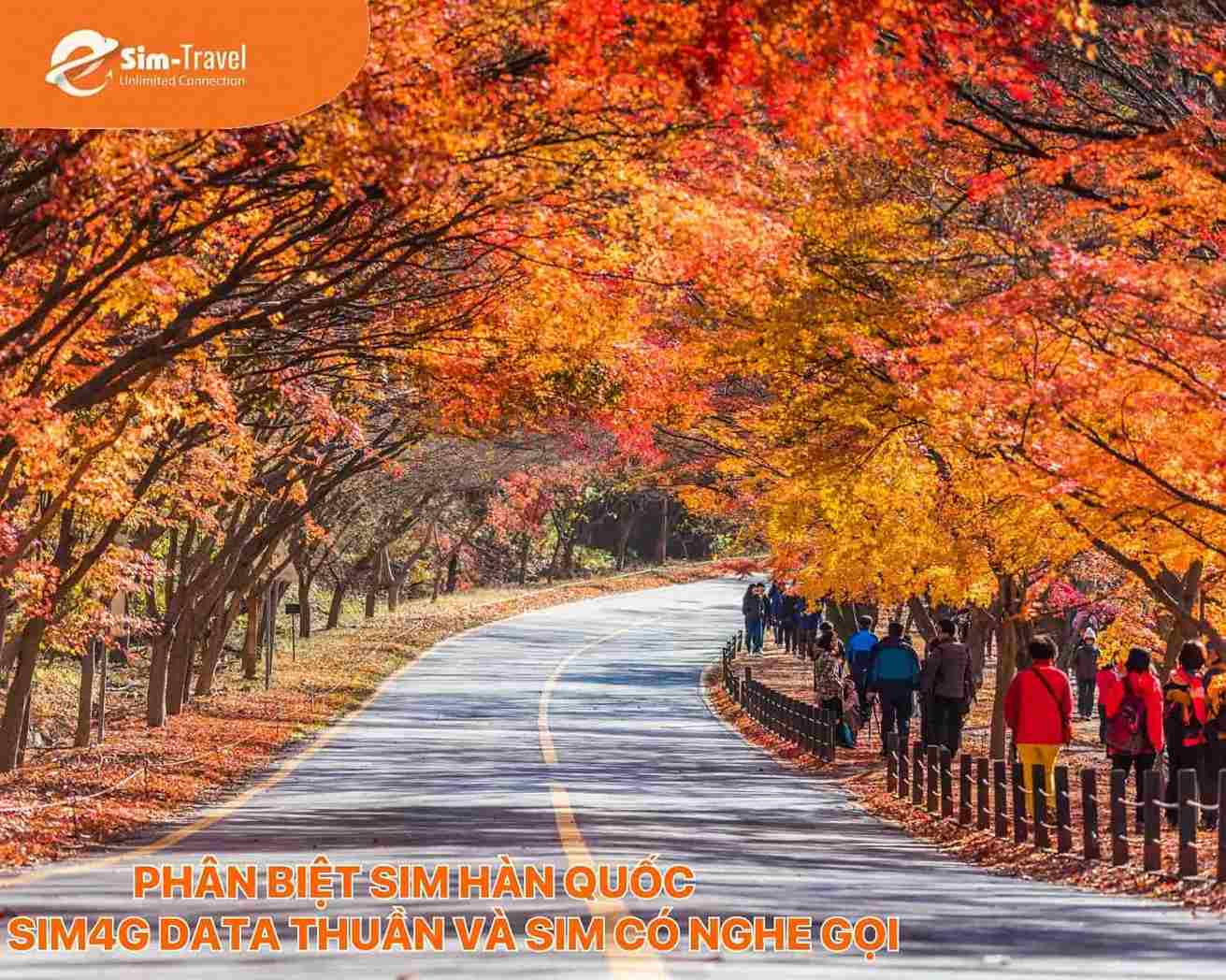 Phân biệt sim Hàn Quốc sim4g data thuần và sim có nghe gọi