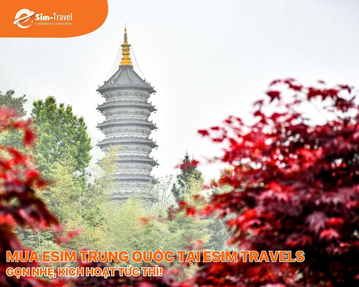 ESIM TRAVELS “cầu nối” viễn thông tin cậy cho mọi giao dịch quốc tế.