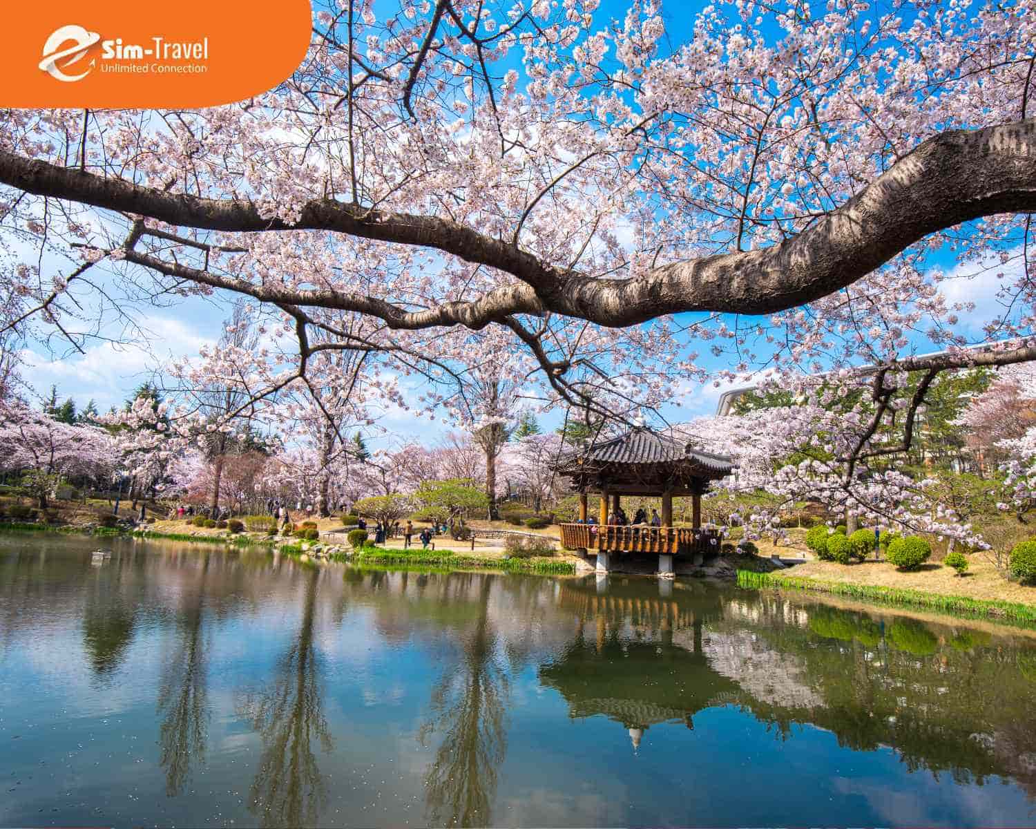 Tour Hàn Quốc 5 ngày 4 đêm giúp khám phá những điểm đến nổi bật nhất.