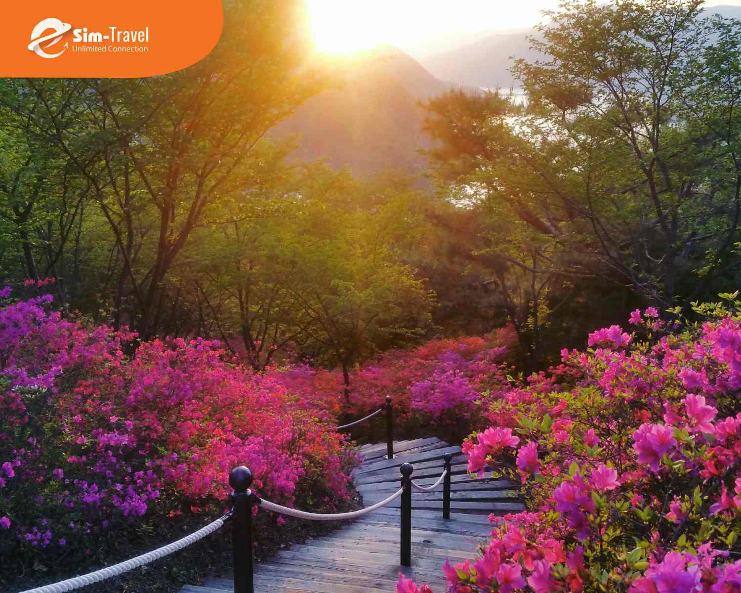 Đặt tour sớm gi&uacute;p tối ưu chi ph&iacute; v&agrave; c&oacute; th&ecirc;m nhiều lựa chọn lịch khởi h&agrave;nh.&nbsp;