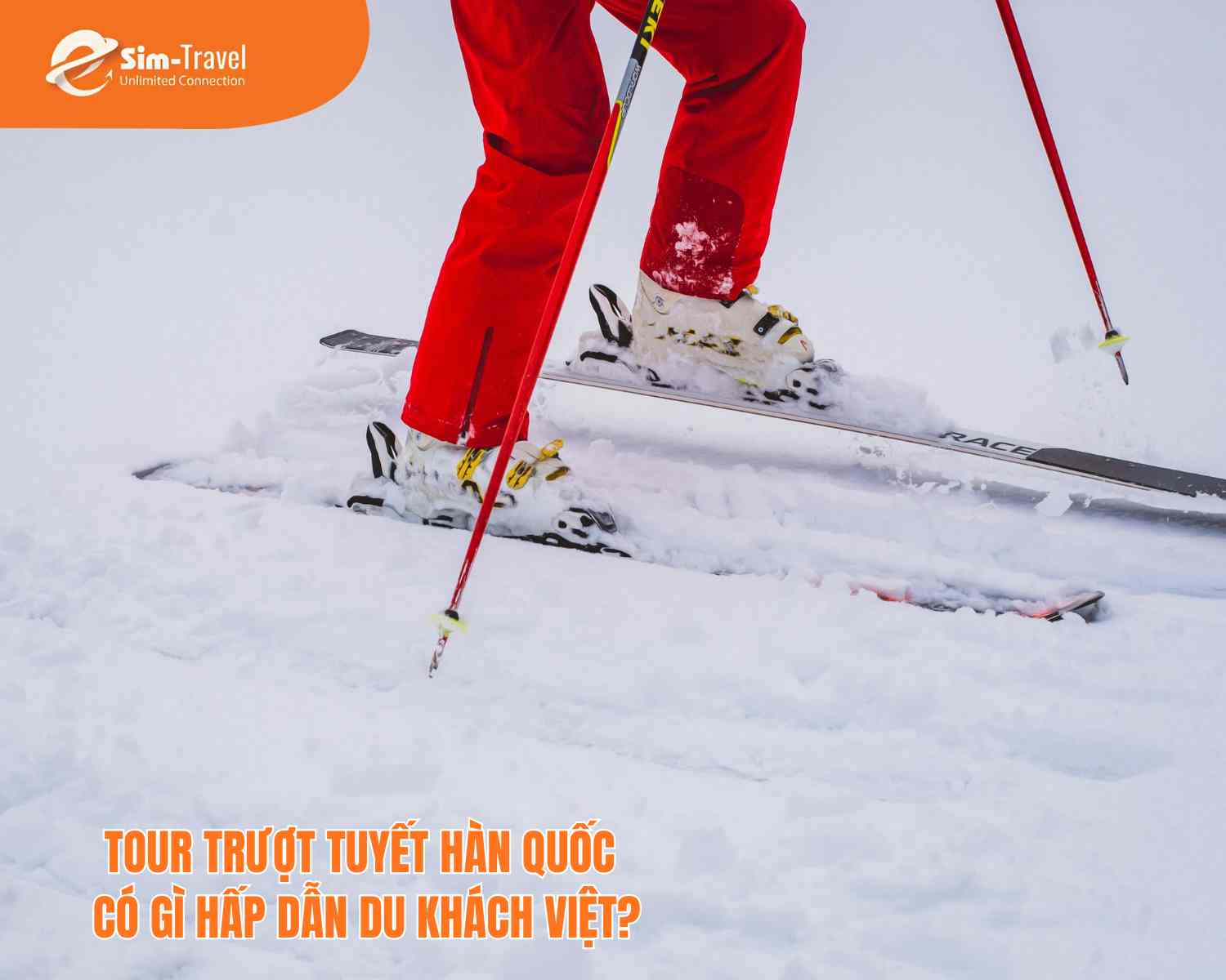 Tour trượt tuyết Hàn Quốc có gì hấp dẫn du khách Việt?