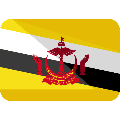 Brunei flag