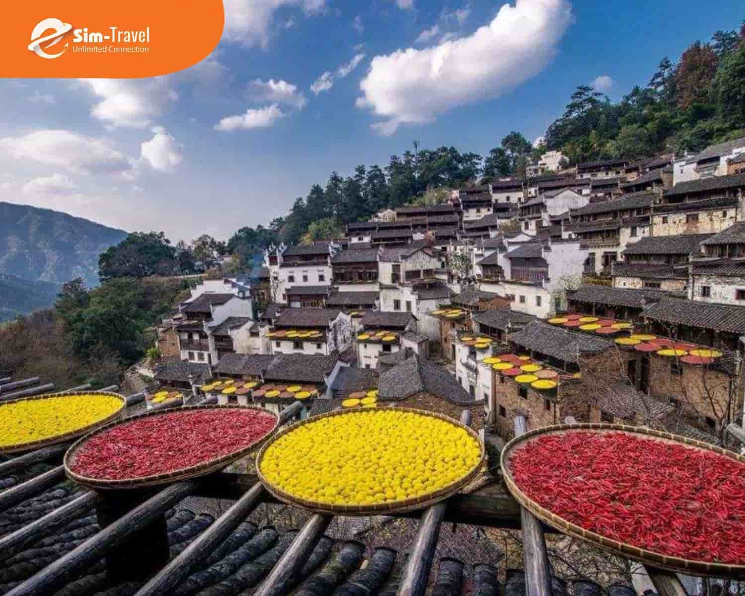 Vụ Nguyên - Làng cổ yên bình, nổi bật với mùa hoa cải vàng