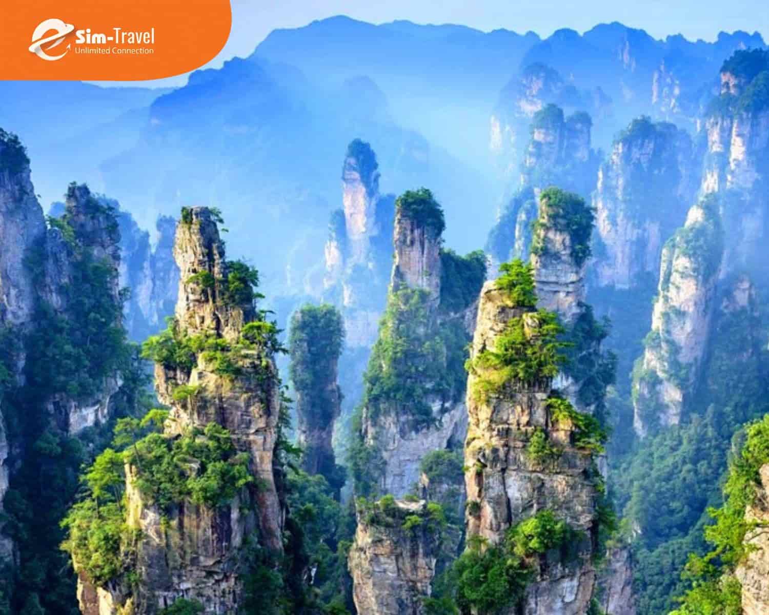 Trương Gia Giới - Vườn quốc gia nổi tiếng toàn cầu với rừng cột đá