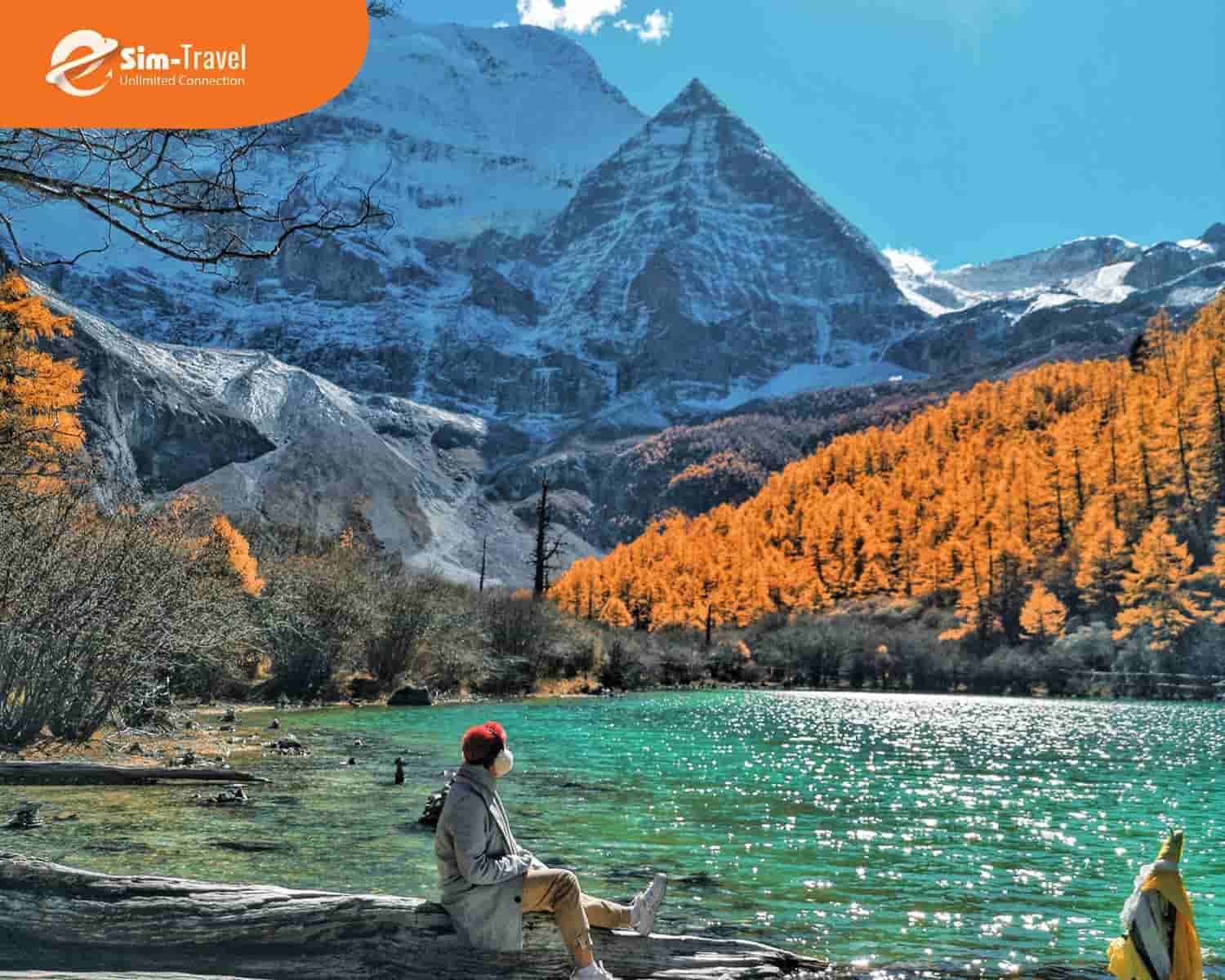 Đạo Thành Á Đinh