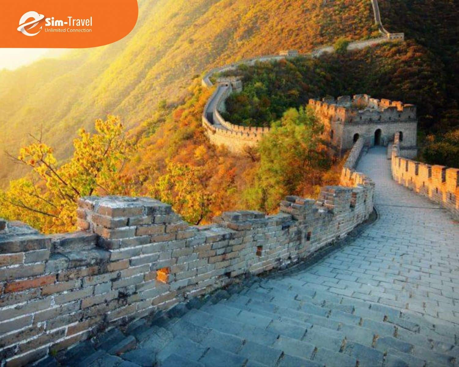 Một kết nối internet ổn định sẽ gi&uacute;p chuyến đi của bạn thuận tiện hơn