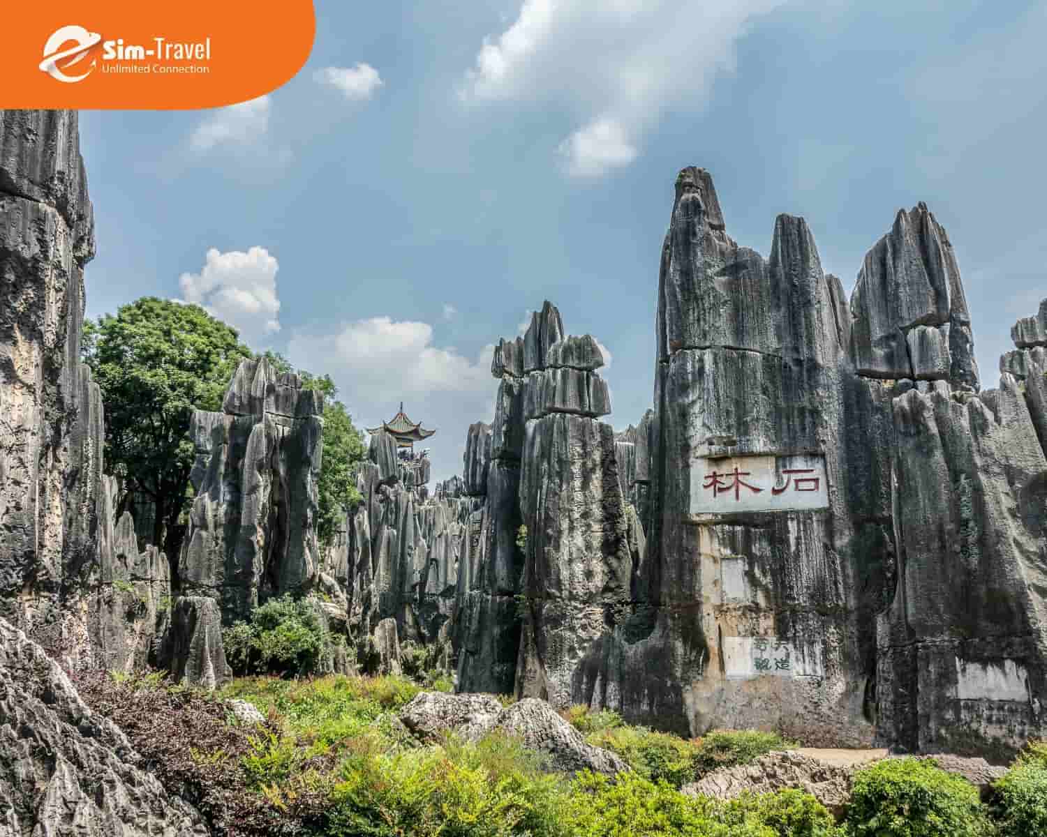 Rừng đá Thạch Lâm - Kỳ quan đá vôi độc nhất vô nhị