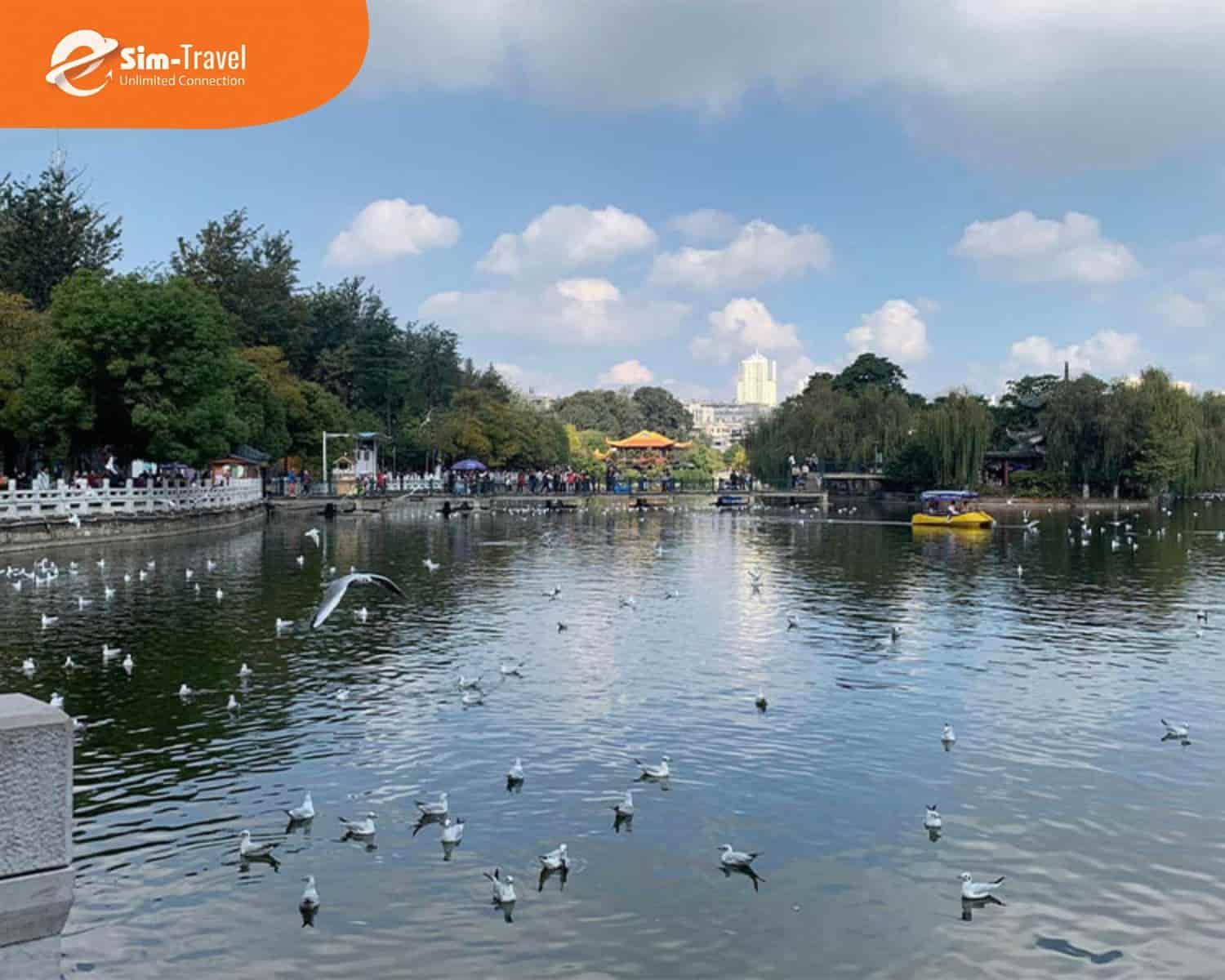 Hồ Xanh - Điểm ngắm hải âu và dạo mát