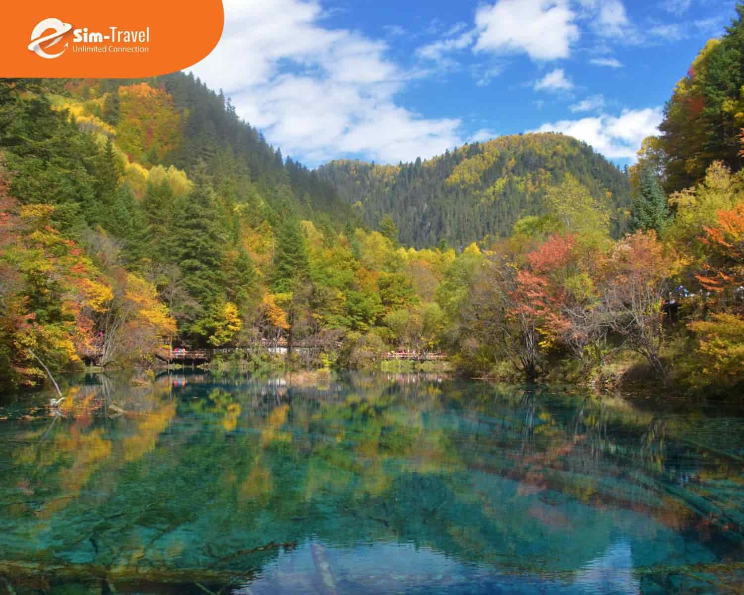 Du lịch Cửu Trại Câu Trung Quốc - Chiêm ngưỡng vẻ đẹp thiên nhiên kỳ vĩ và tận hưởng không khí trong lành hiếm có