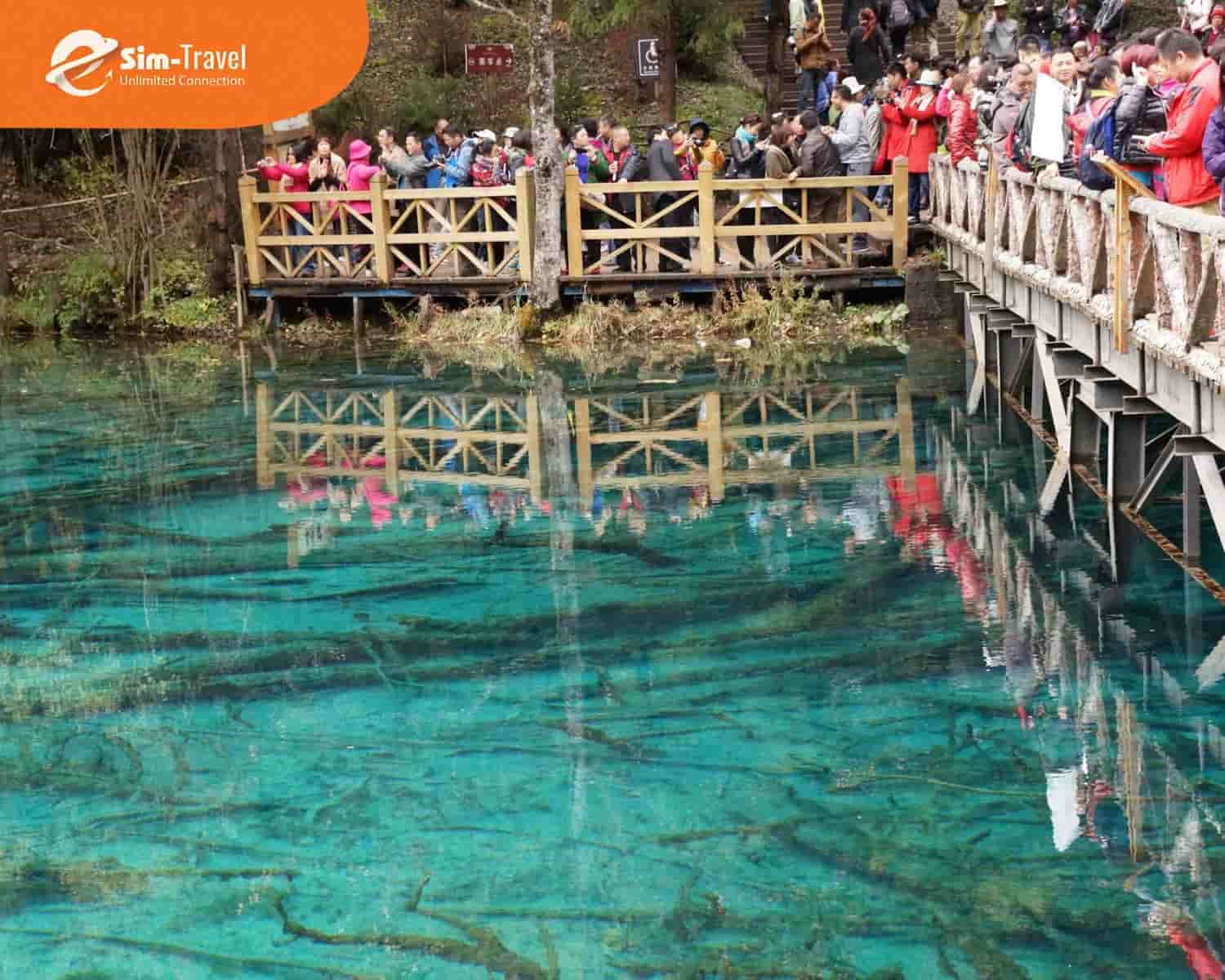 Cửu Trại Câu sở hữu hệ sinh thái huyền ảo luôn nằm top những địa điểm không nên bỏ lỡ trong bản đồ du lịch Trung Quốc