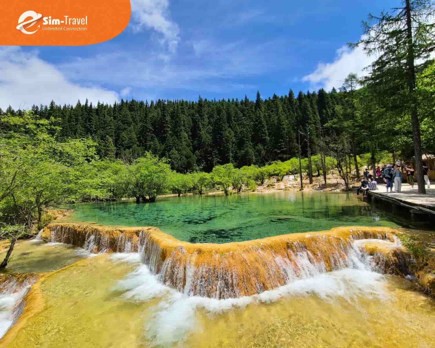 Mùa xuân hè Cửu Trại Câu khoác lên mình màu xanh tươi mát, trong lành