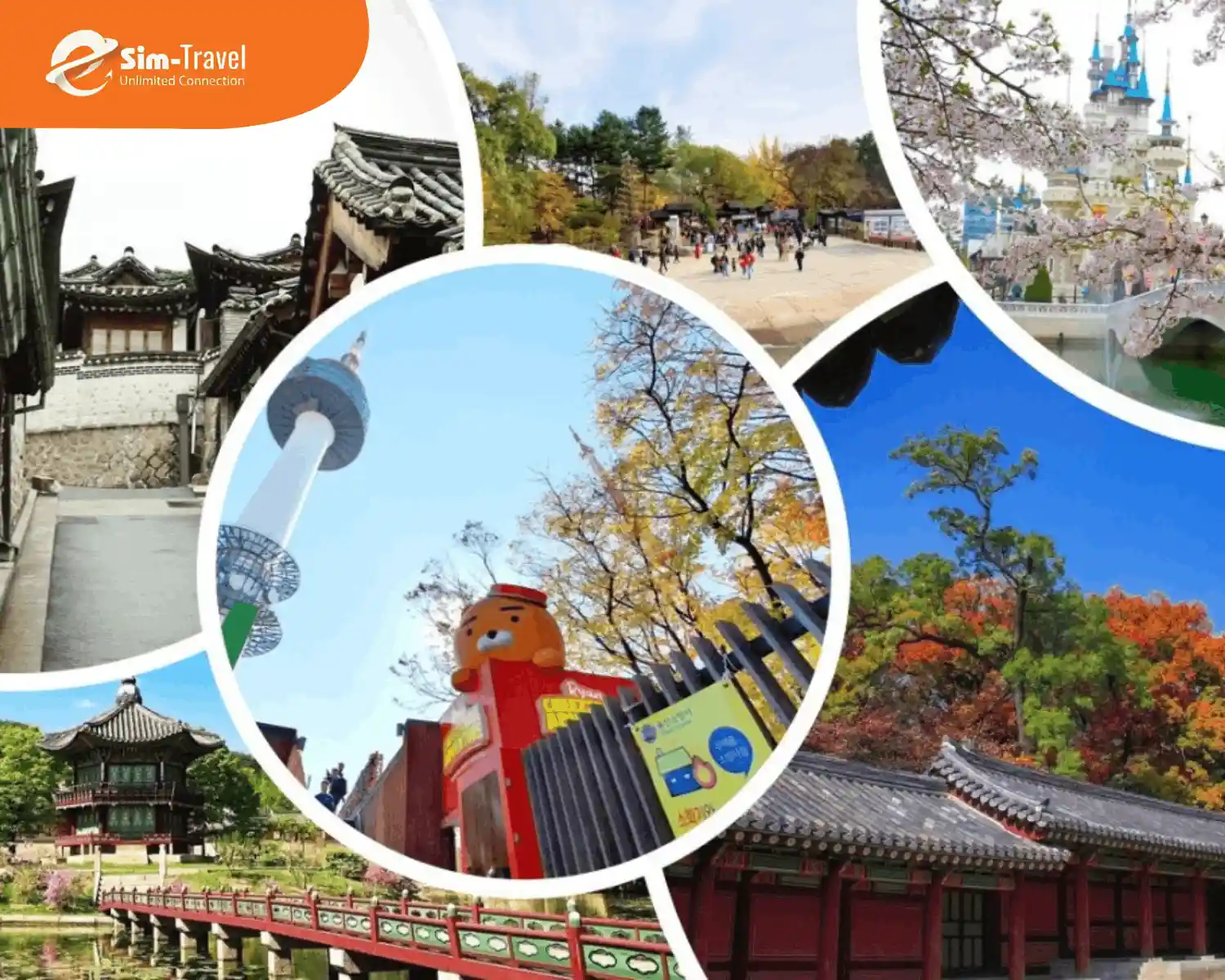 Du lịch theo tour trọn gói sẽ có lịch trình và dịch vụ đầy đủ