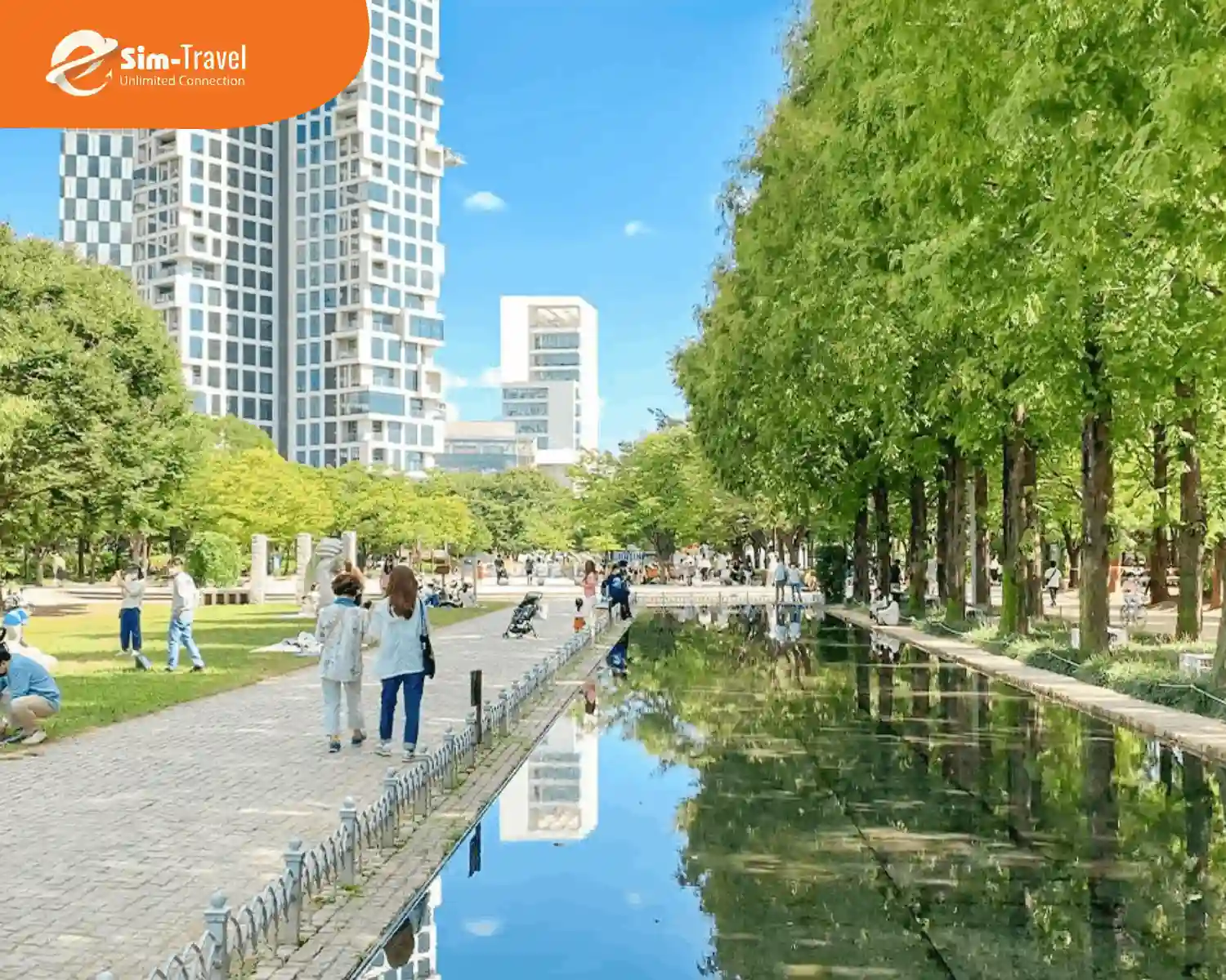 Thư giãn với hoạt động picnic trong công viên xanh mát ở Hàn