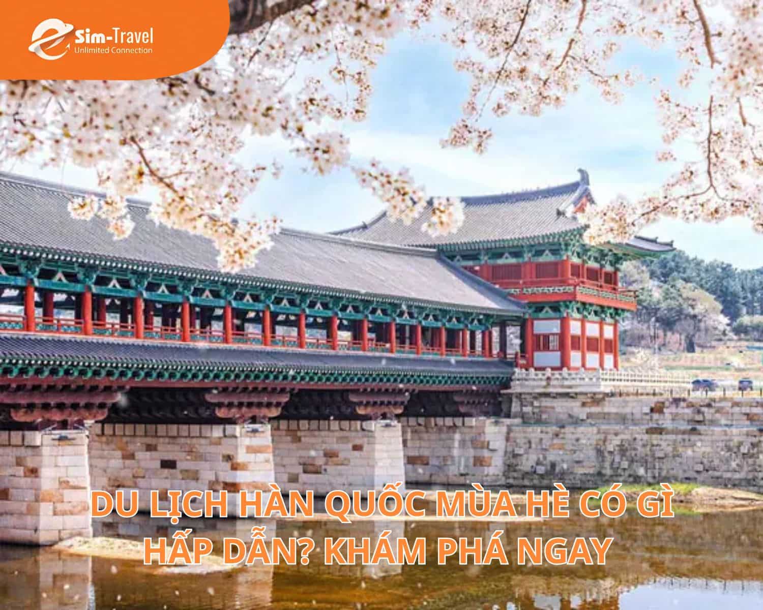 Du Lịch Hàn Quốc Mùa Hè Có Gì Hấp Dẫn? Khám Phá Ngay 