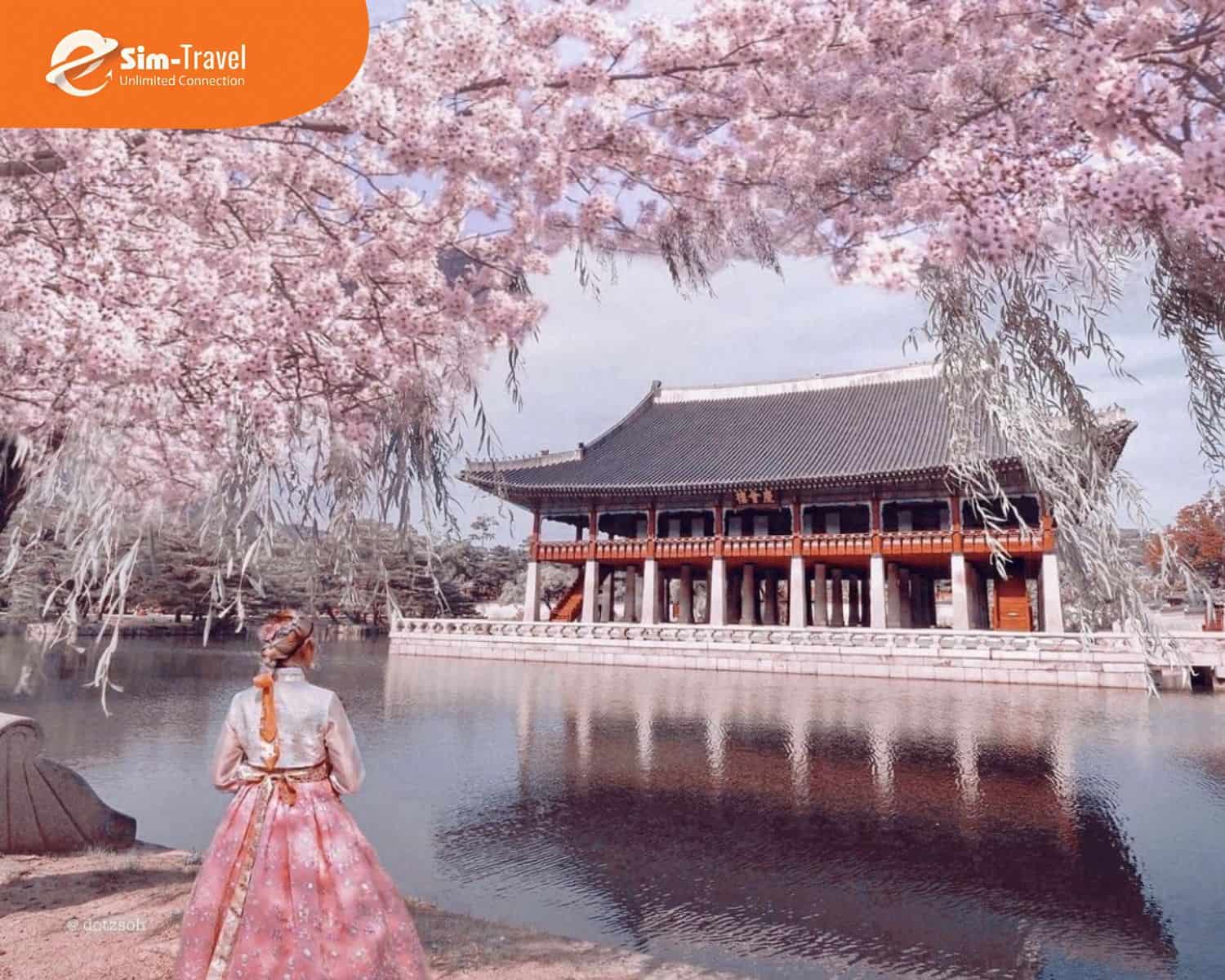 Những điểm đến l&agrave;m n&ecirc;n vẻ đẹp của m&ugrave;a xu&acirc;n H&agrave;n Quốc