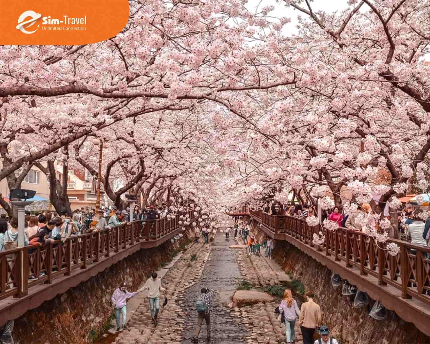 Chuẩn bị kỹ c&agrave;ng để tận hưởng trọn vẹn h&agrave;nh tr&igrave;nh