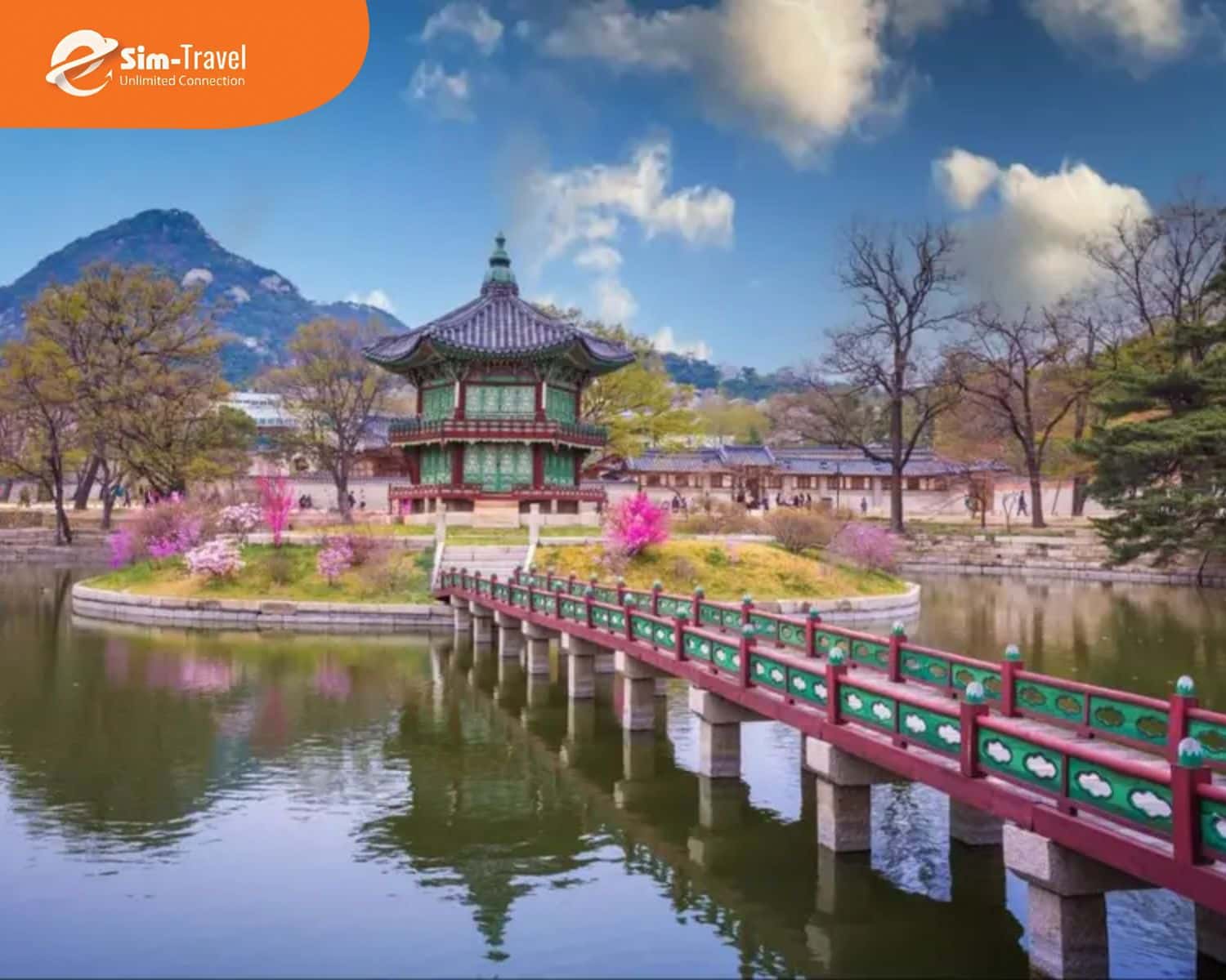 Tự do kh&aacute;m ph&aacute; hay an t&acirc;m đồng h&agrave;nh, quyết định nằm ở bạn