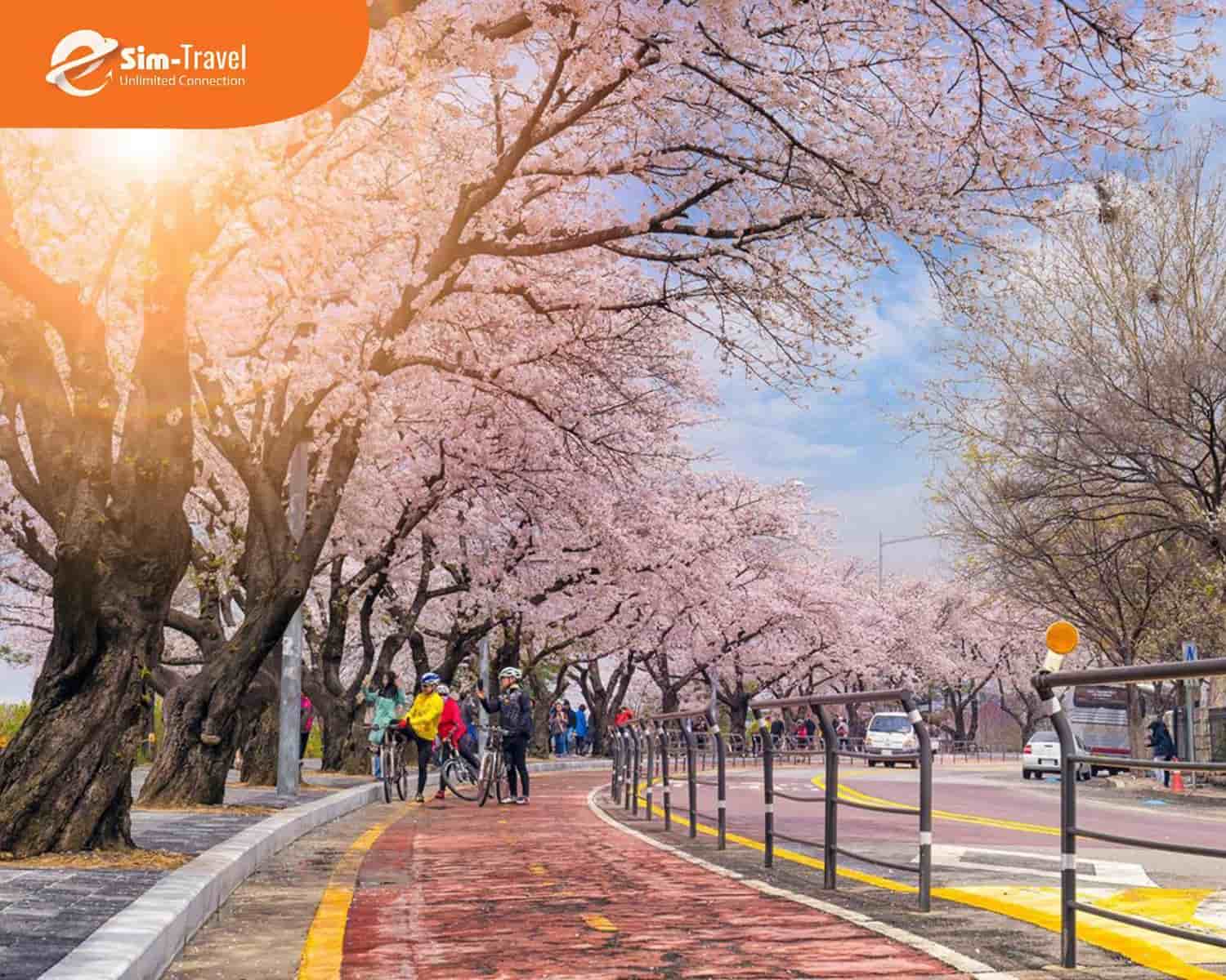 Chuẩn bị kỹ hơn cho chuyến du lịch H&agrave;n Quốc nhờ những th&ocirc;ng tin hữu &iacute;ch
