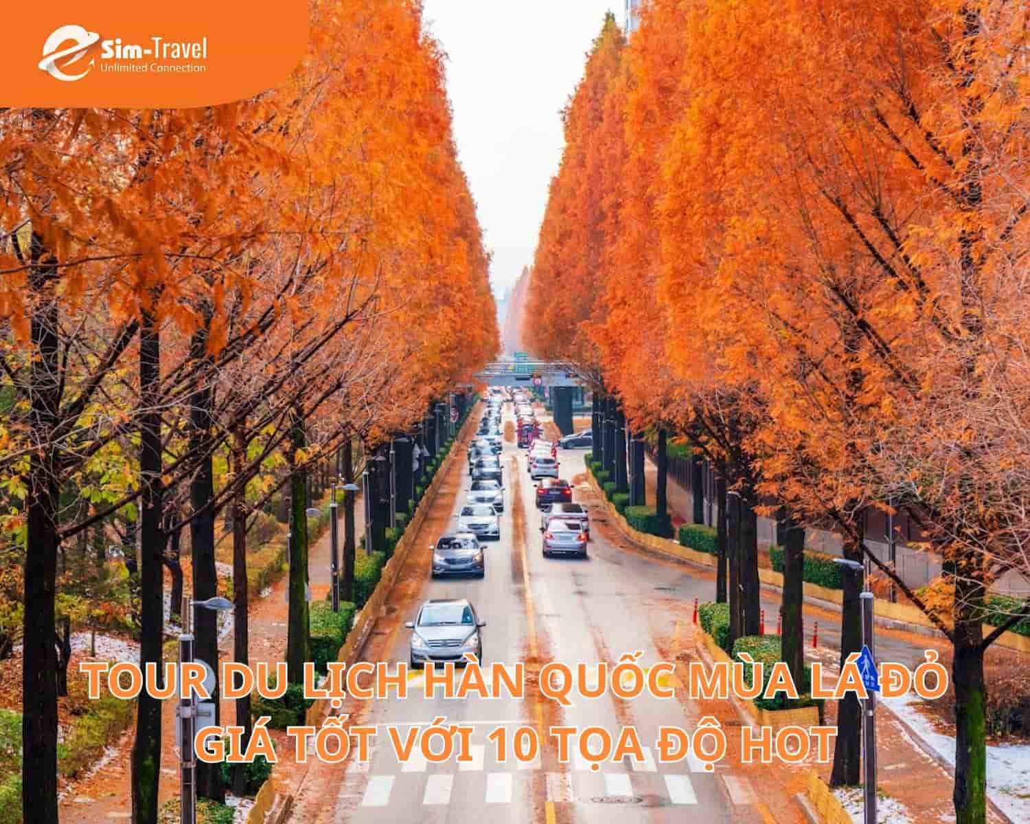 Tour Du Lịch Hàn Quốc Mùa Lá Đỏ Giá Tốt Với 10 Tọa Độ Hot
