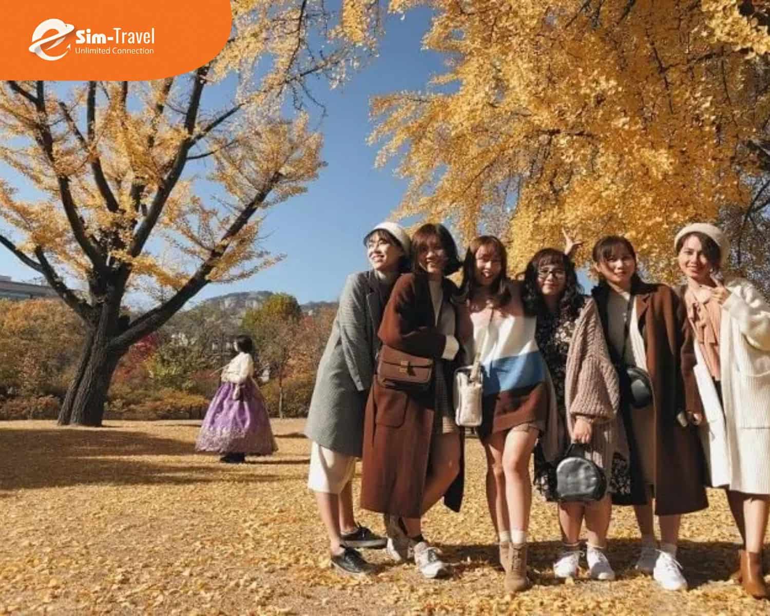 Nơi vẻ đẹp ho&agrave;ng cung h&ograve;a quyện c&ugrave;ng sắc thu l&atilde;ng mạn giữa l&ograve;ng Seoul
