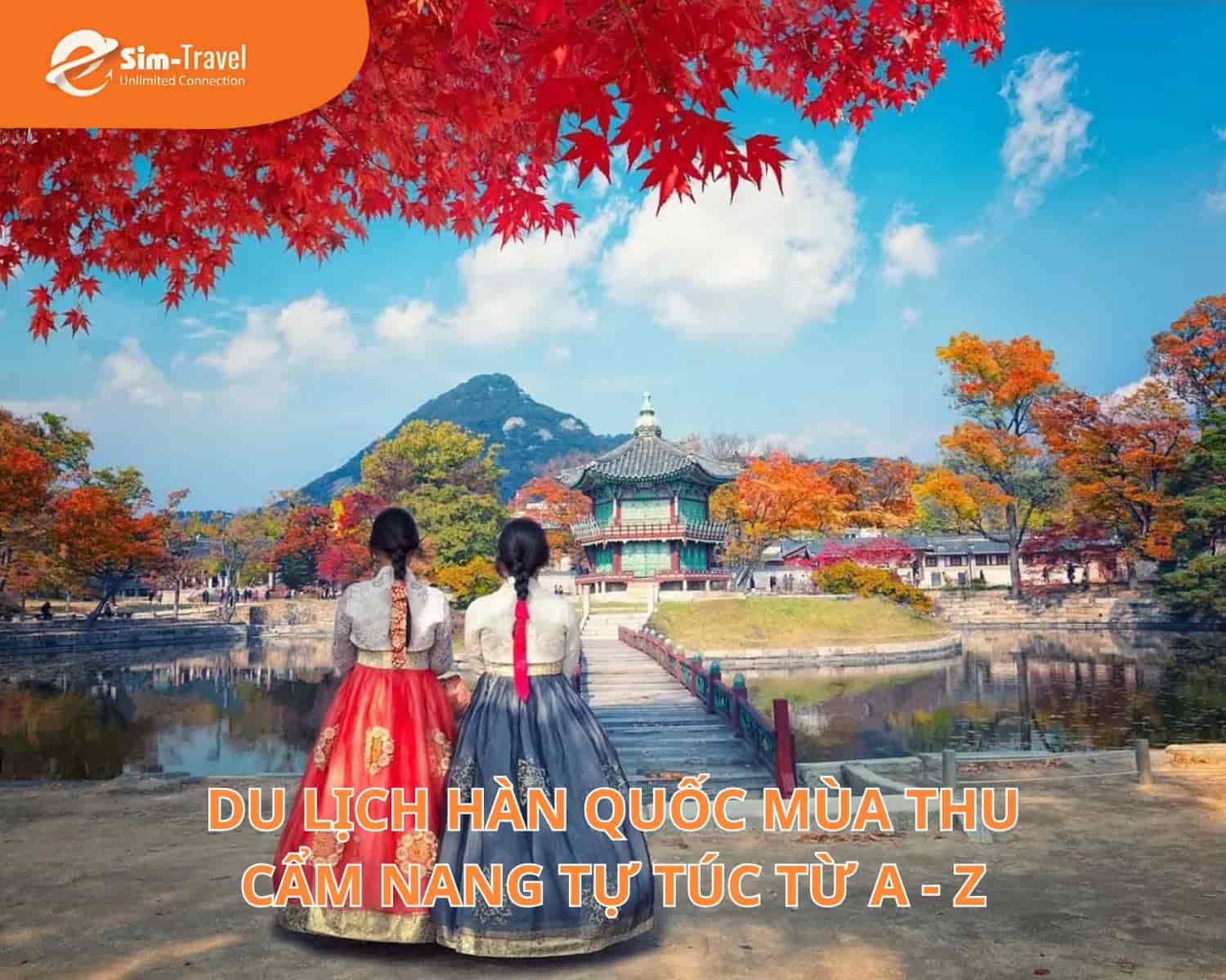 Du Lịch Hàn Quốc Mùa Thu: Cẩm Nang Tự Túc Từ A - Z