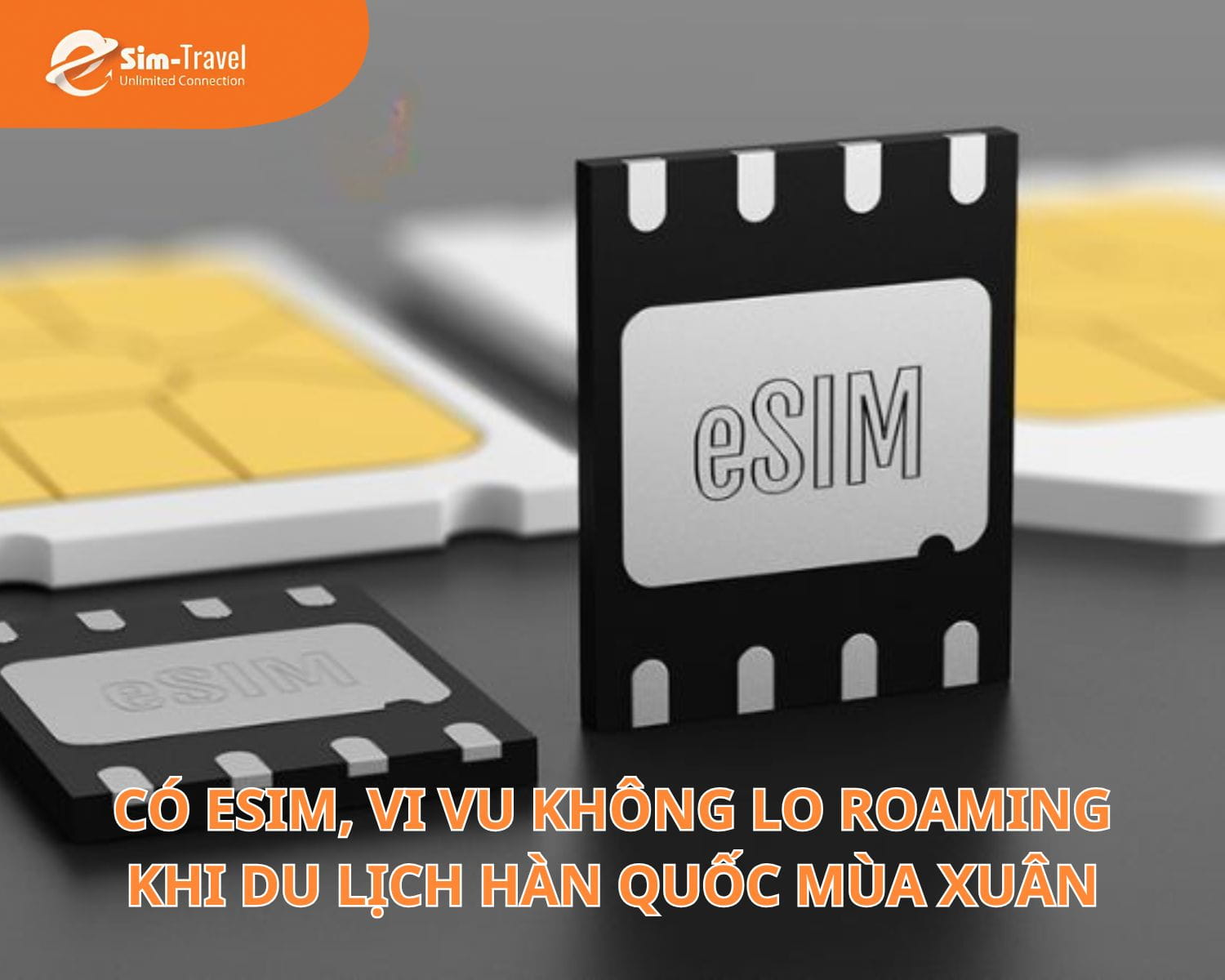 C&oacute; eSIM, vi vu du lịch H&agrave;n Quốc m&ugrave;a xu&acirc;n kh&ocirc;ng lo roaming