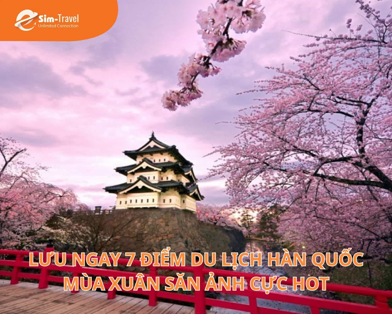 Lưu Ngay 7 Điểm Du Lịch Hàn Quốc Mùa Xuân Săn Ảnh Cực Hot