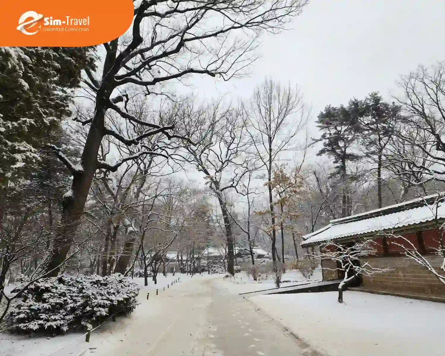 Seoul mùa đông với nền tuyết phủ trắng xoá