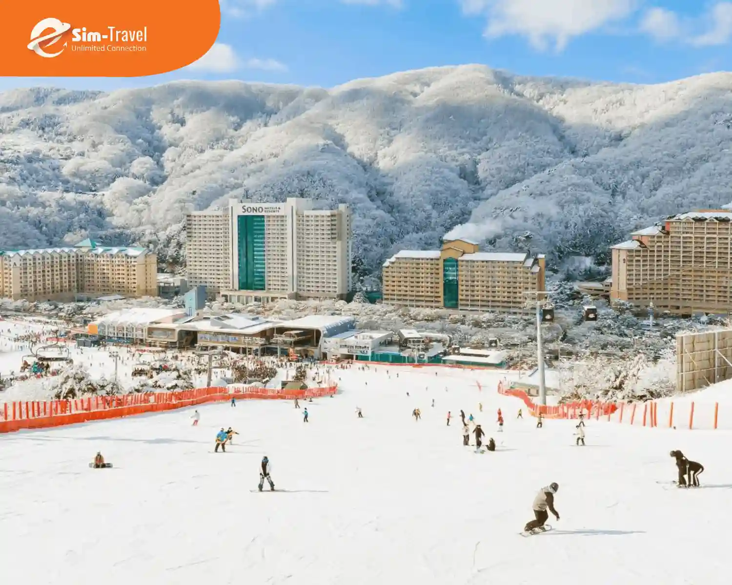 Tham gia các hoạt động trượt tuyết ở Hàn