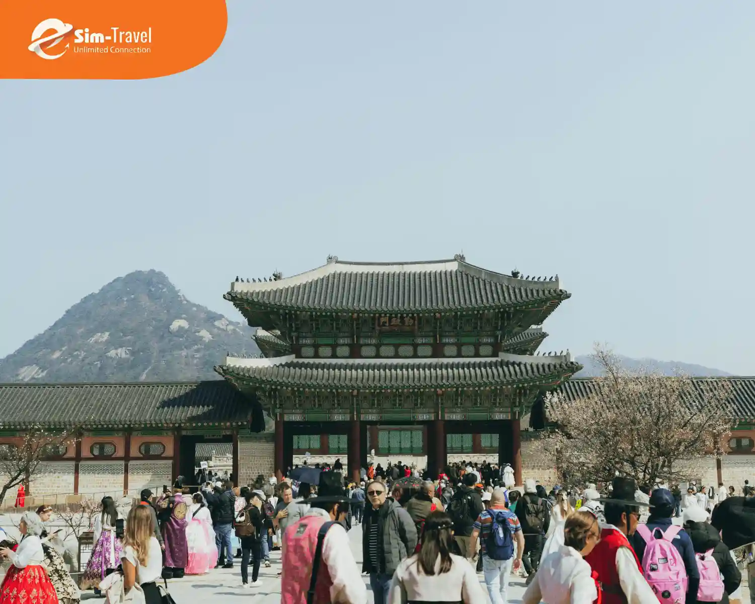 Cung điện Gyeongbokgung thu hút đông đảo du khách ngày đầu xuân năm mới