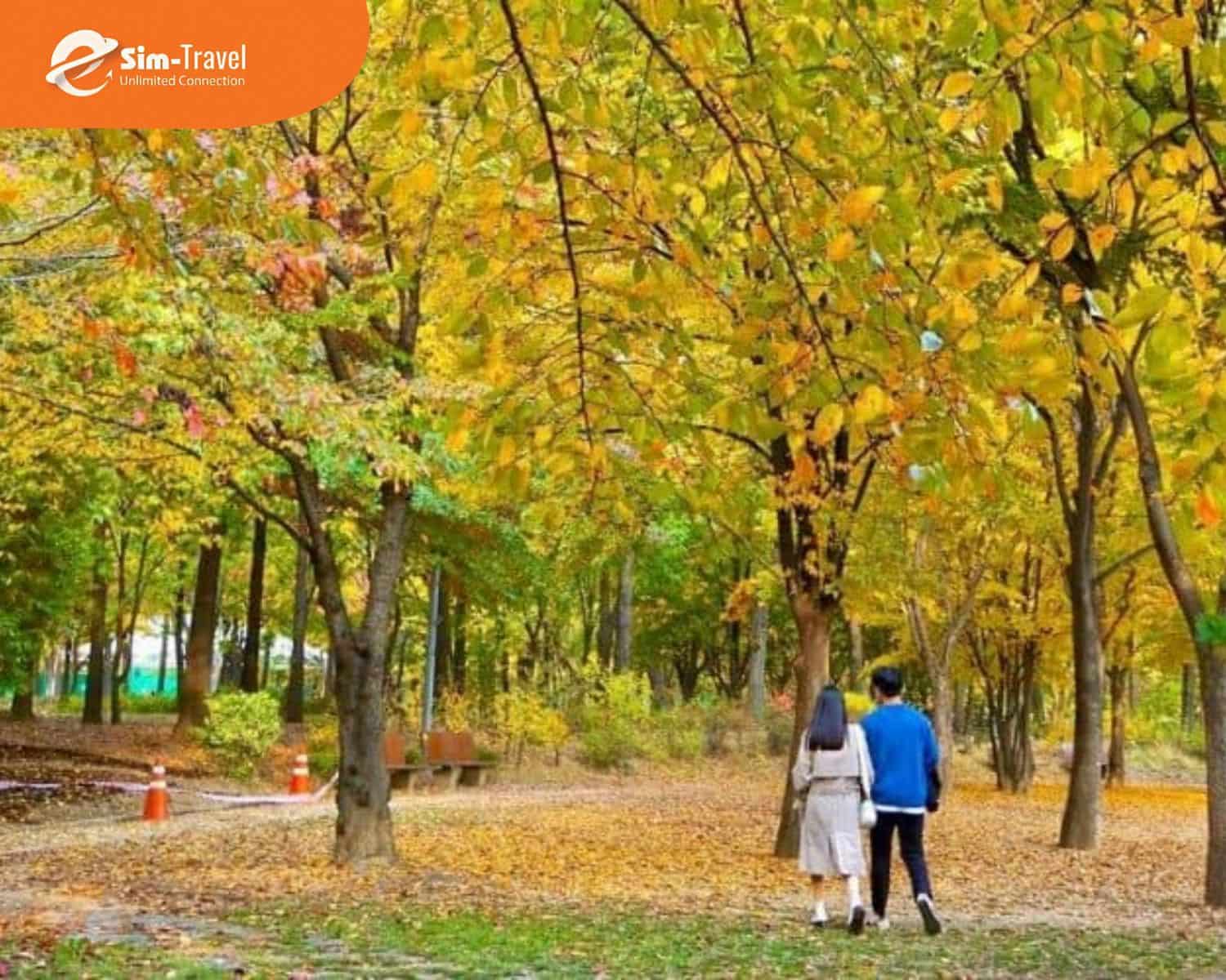 Săn ảnh đẹp giữa bầu trời trong xanh v&agrave; tiết trời dễ chịu