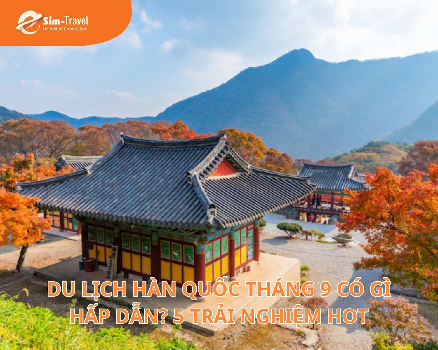 Du Lịch Hàn Quốc Tháng 9 Có Gì Hấp Dẫn? 5 Trải Nghiệm Hot