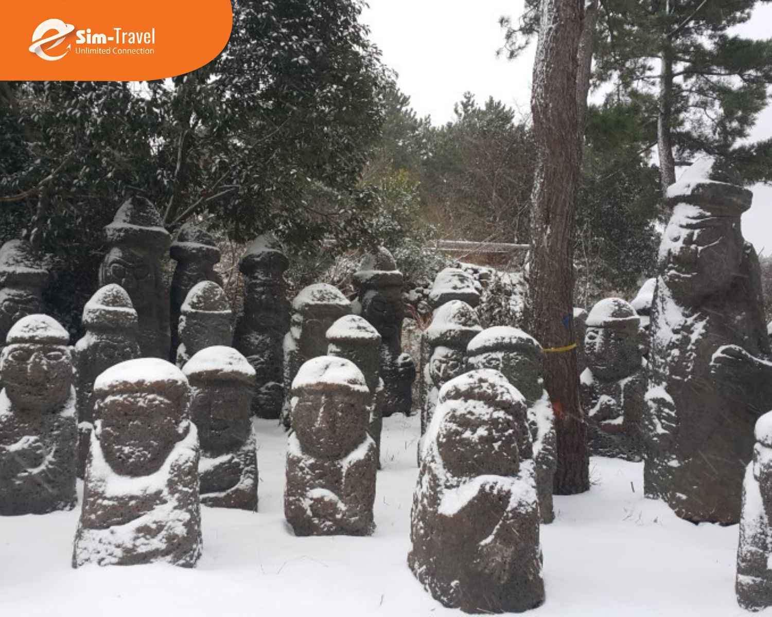 du-lich-han-quoc-thang-mua-dong-dao-jeju