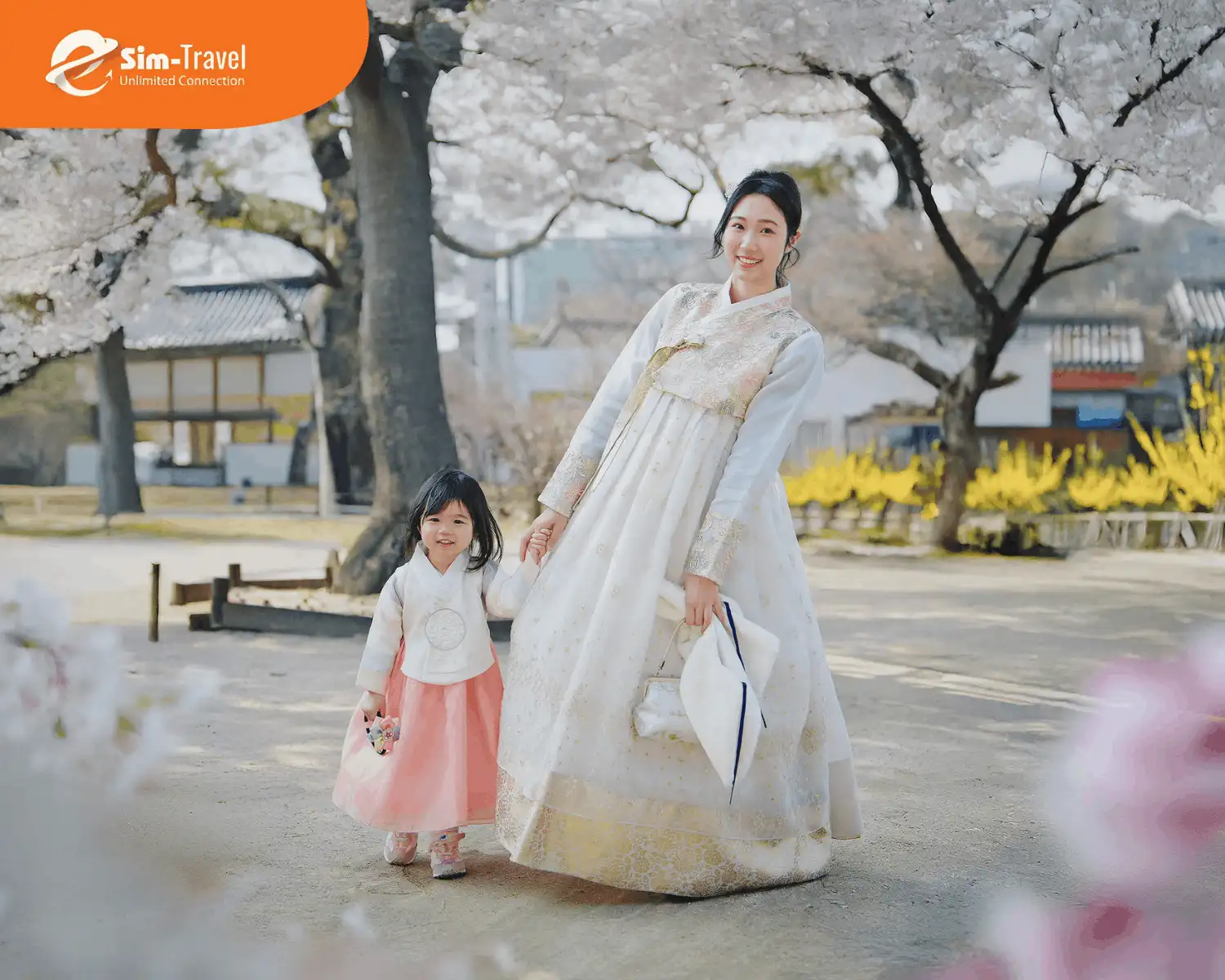 Checkin với hoa anh đào tại Hàn