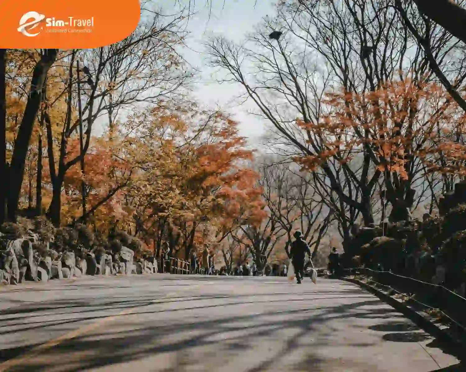 Con đường rợp sắc đỏ vàng thơ mộng mùa thu