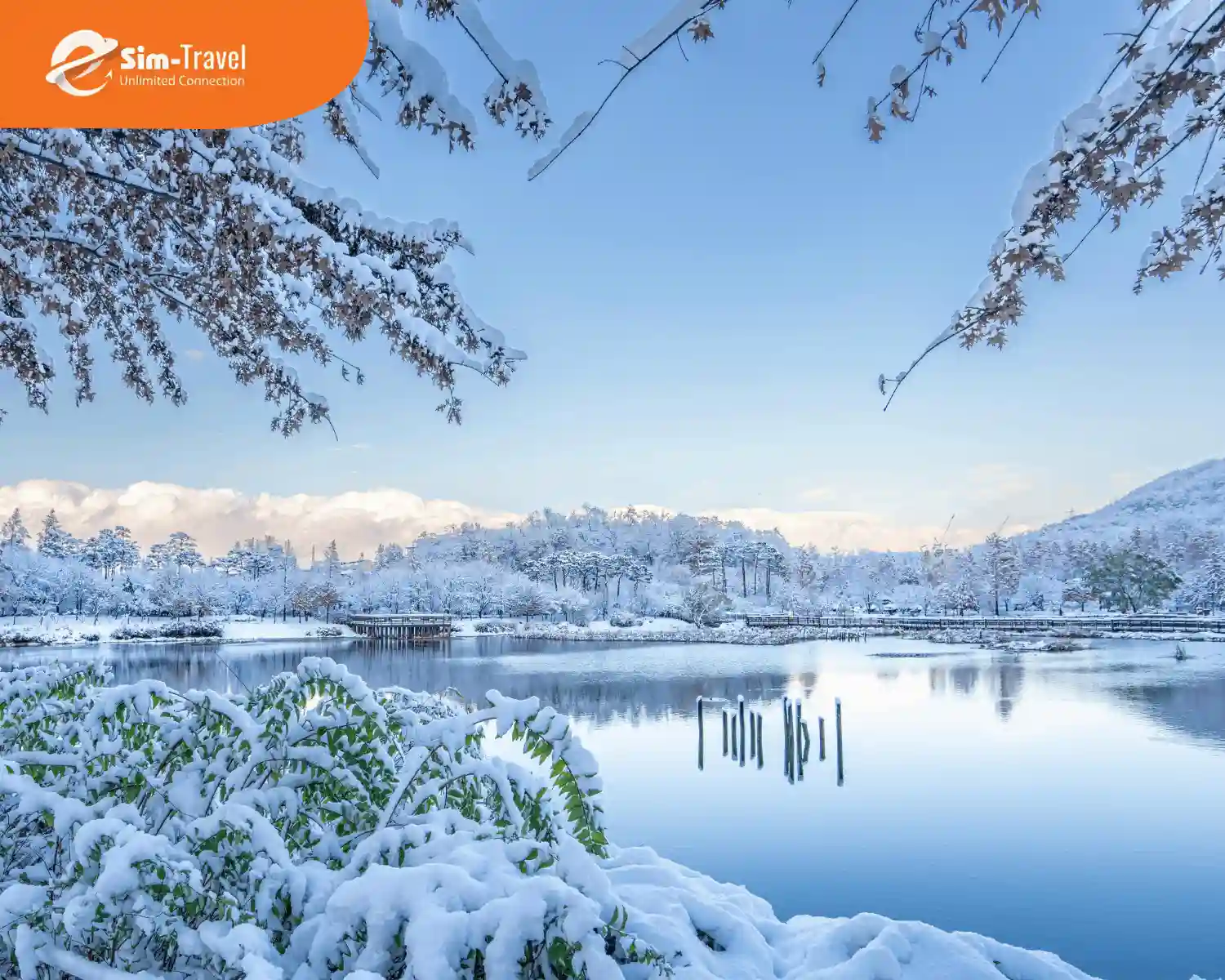 Cảnh sắc mùa đông Hàn Quốc bao trùm bởi tuyết trắng