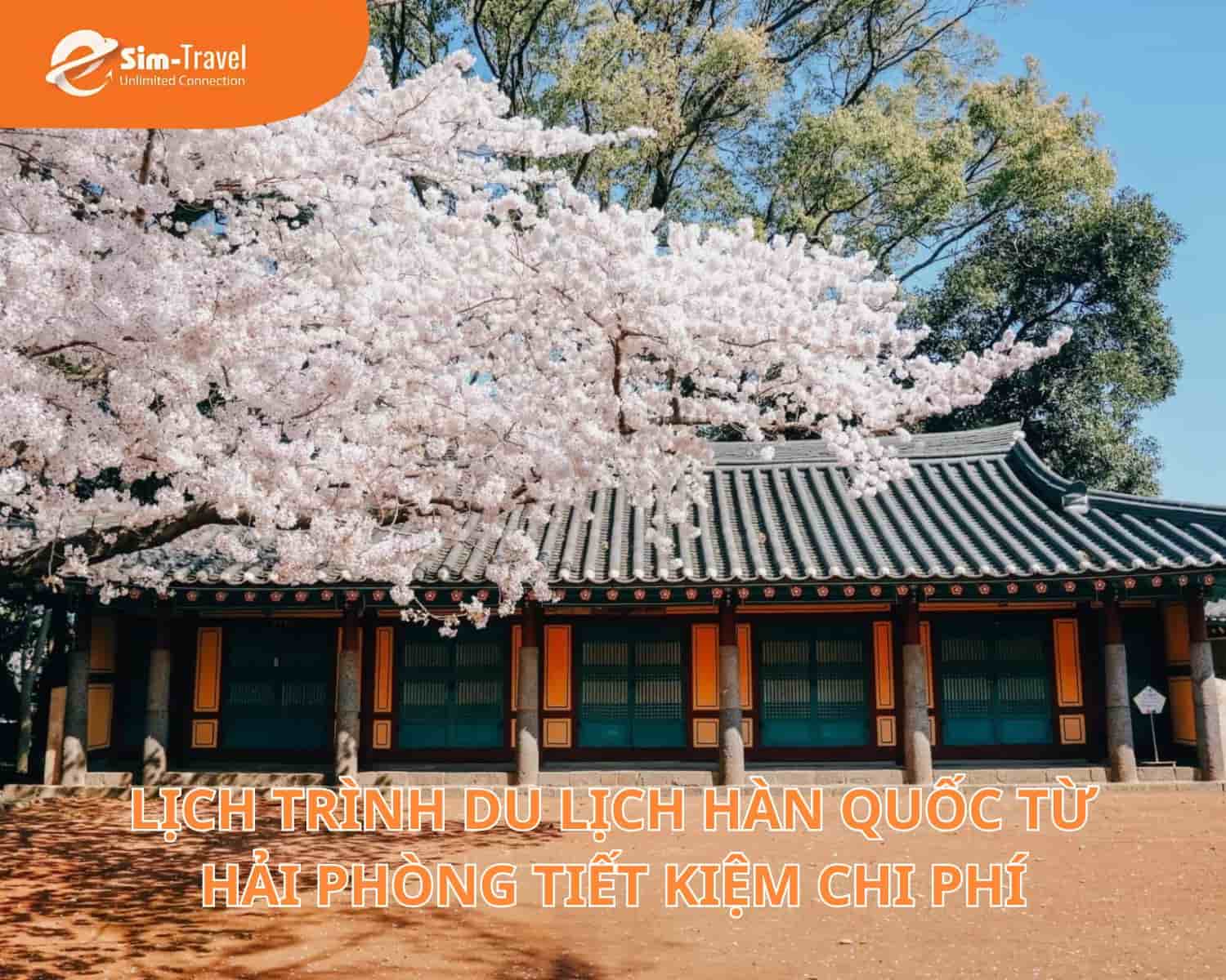 Lịch trình Du lịch Hàn Quốc từ Hải Phòng tiết kiệm chi phí