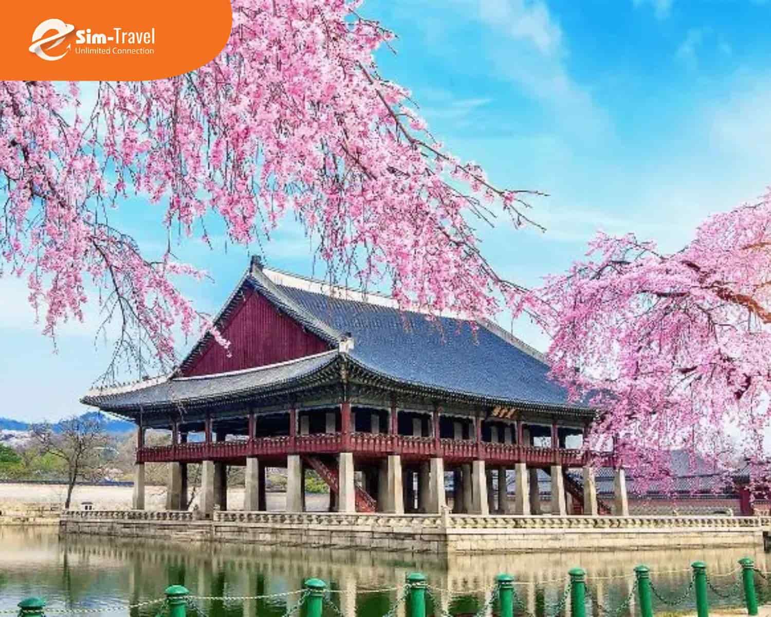 Kh&aacute;m ph&aacute; miễn ph&iacute;, lưu giữ triệu khoảnh khắc