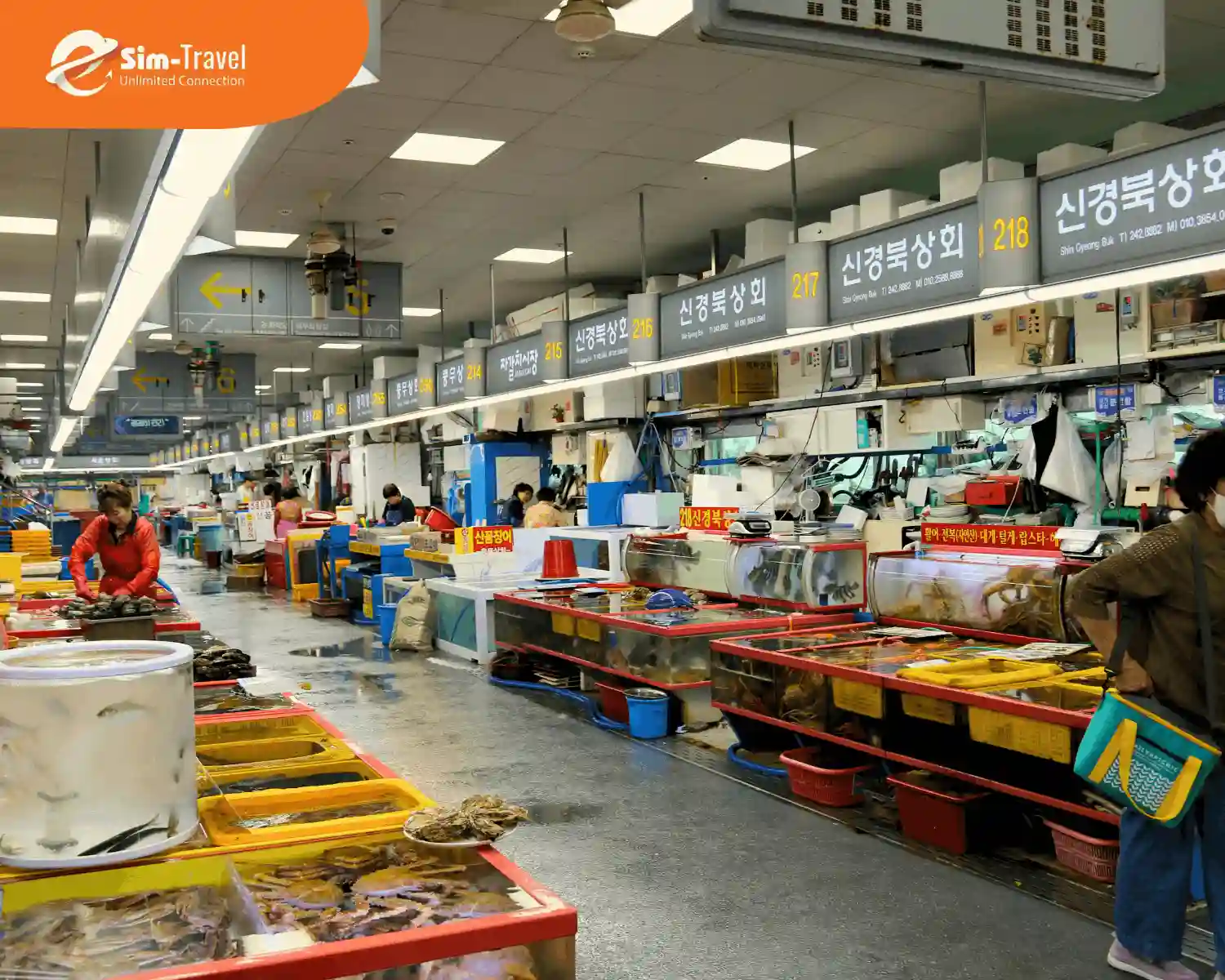Ghé chơi chợ hải sản ở Busan