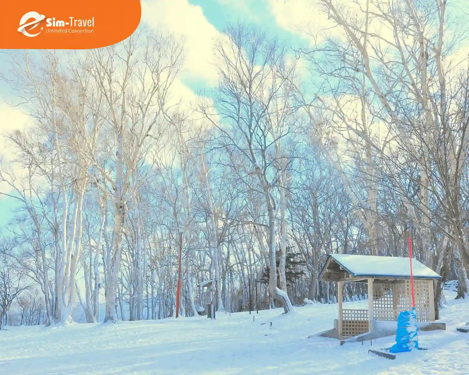 Đắm chìm trong khung cảnh tĩnh lặng ở Otaru