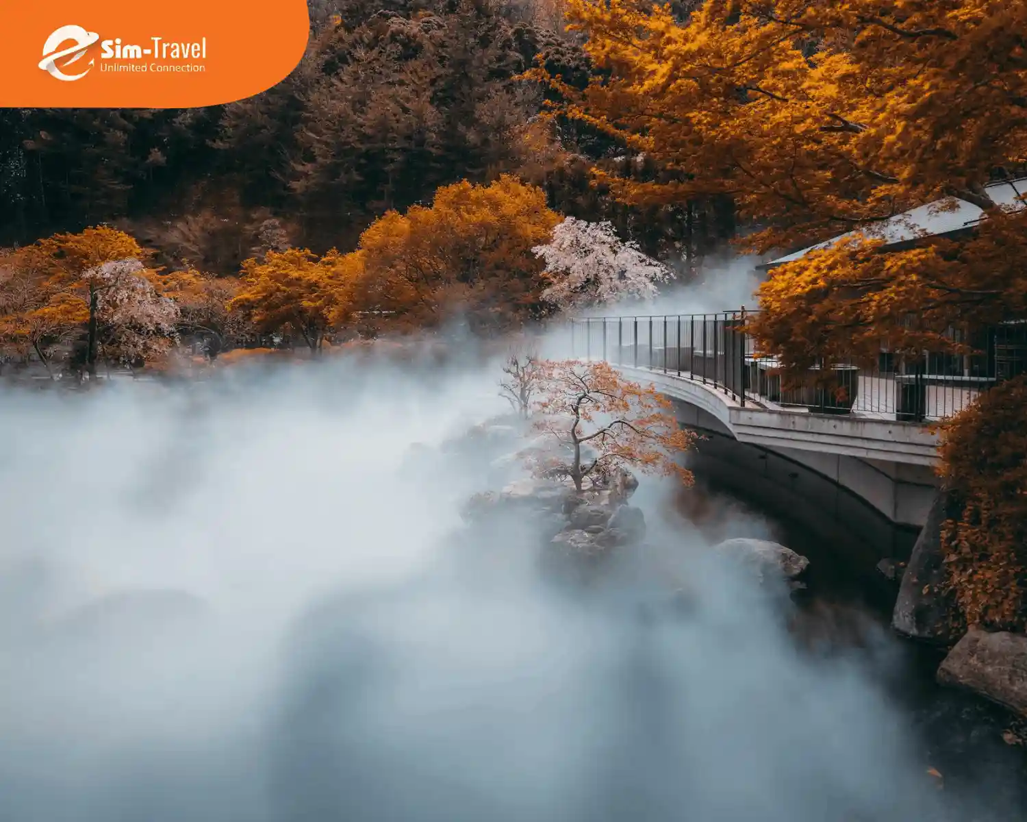 Cảnh sắc huyền ảo của tiết thu