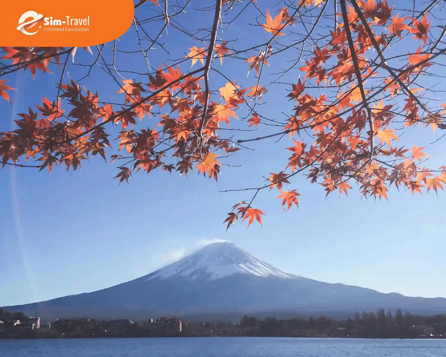 Ngắm lá đỏ cùng núi Phú Sĩ