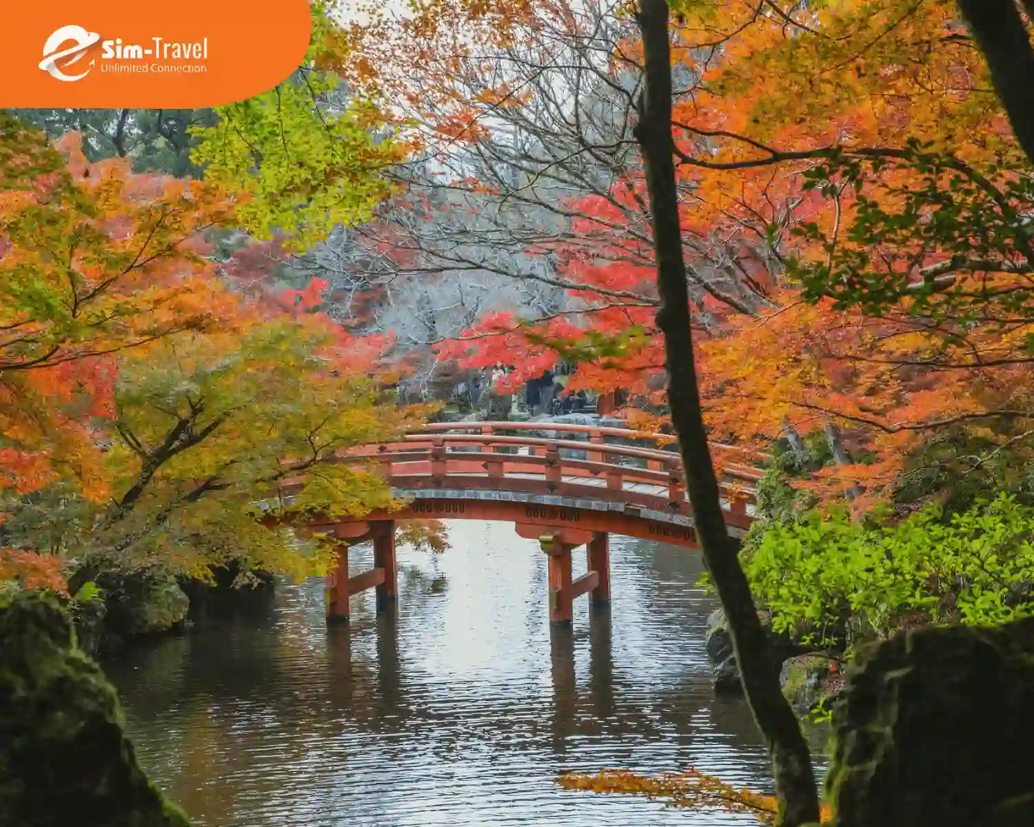 Sắc thu êm ả nao nức lòng người